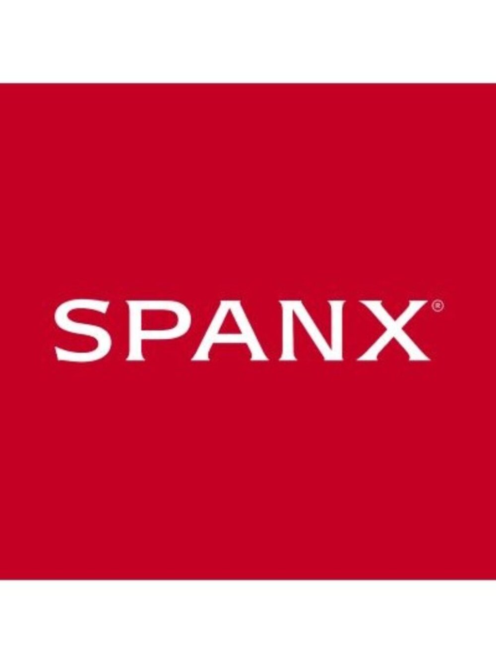 G-14. Spanx Pintsripe Ponte Pants Navy